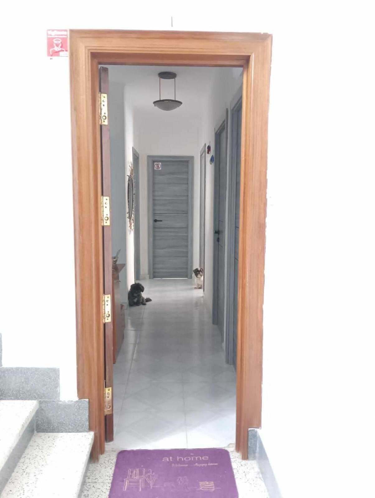 Alicante Habitacion Oasis Dış mekan fotoğraf
