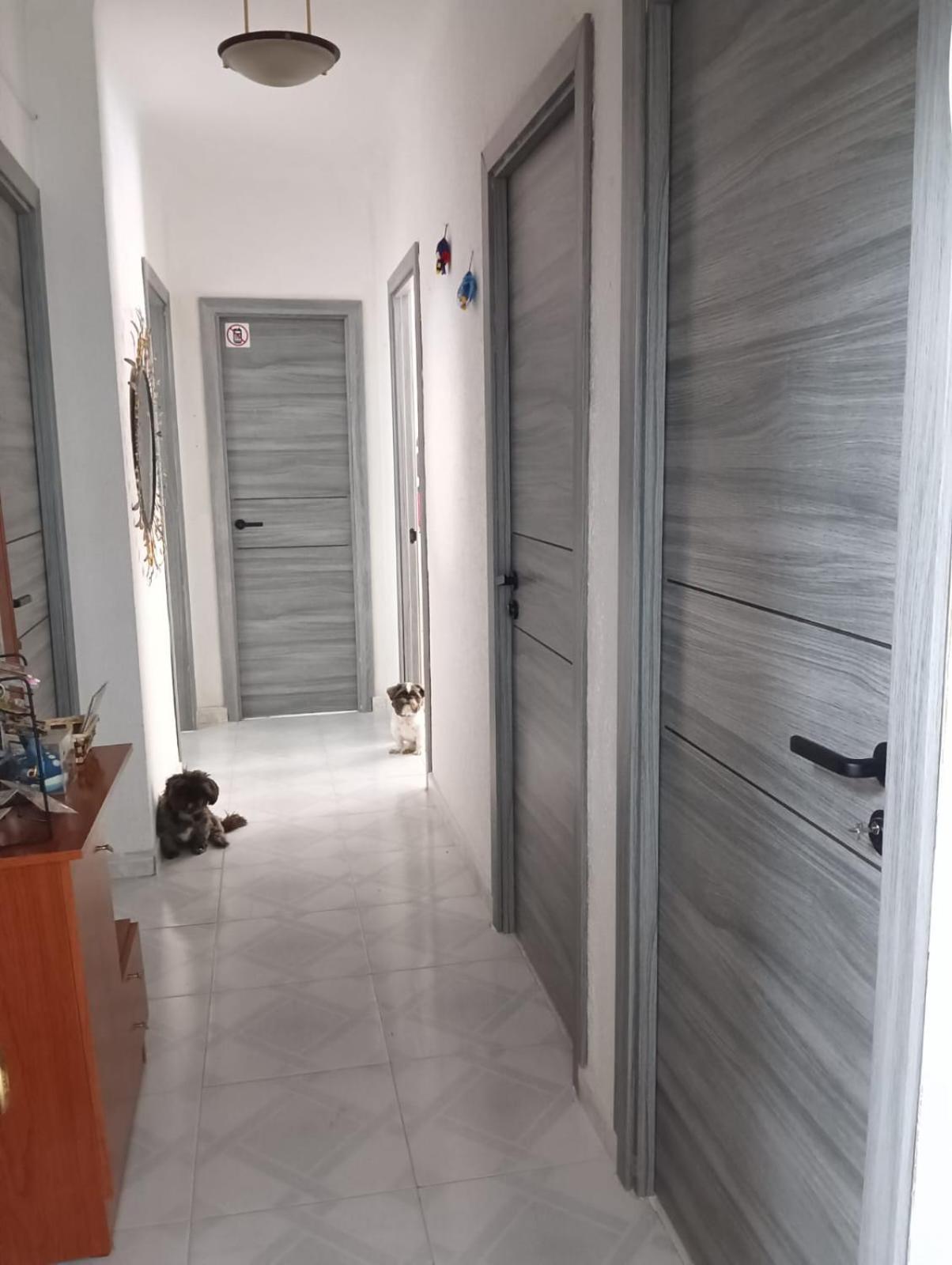Alicante Habitacion Oasis Dış mekan fotoğraf